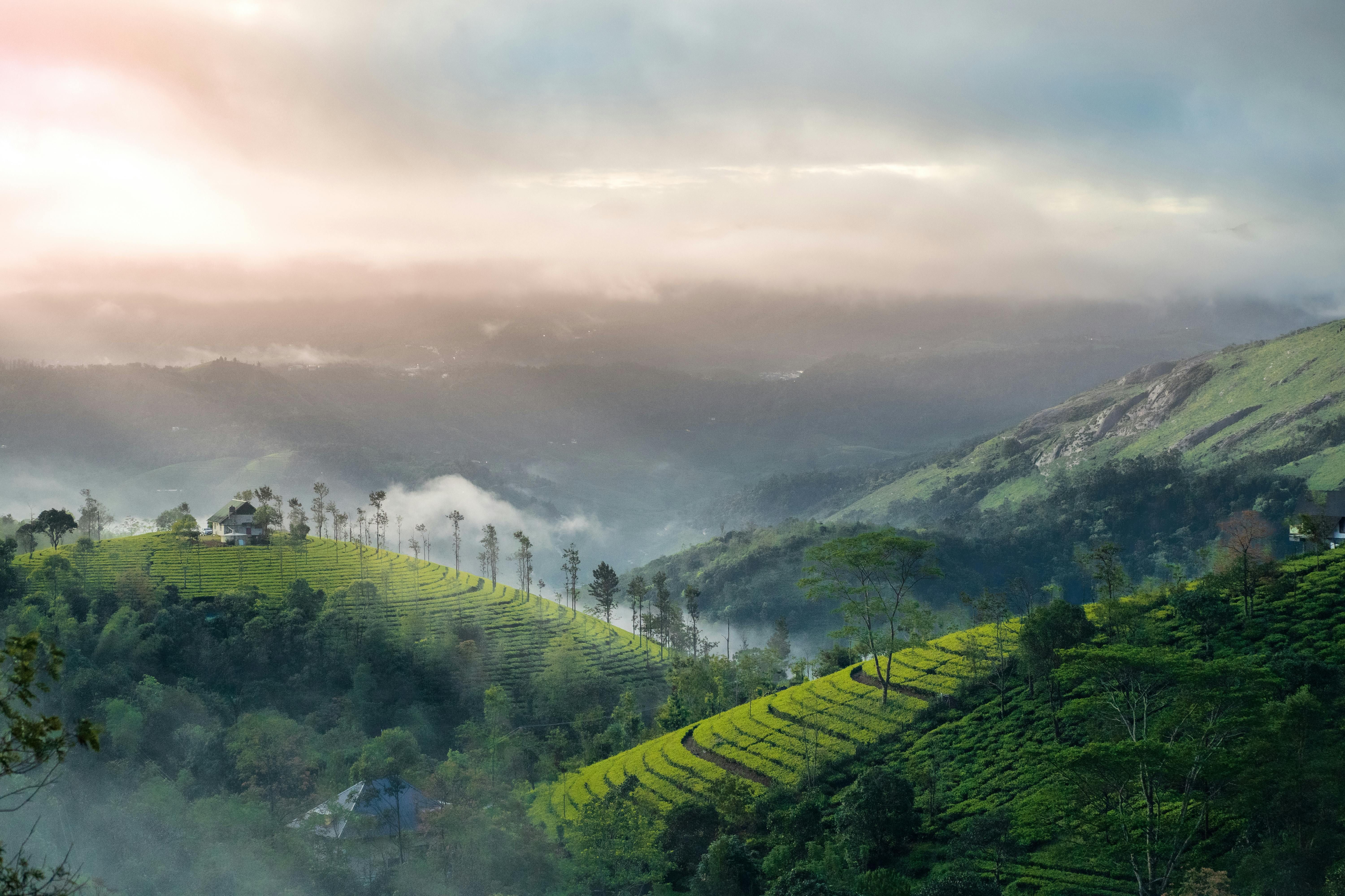 Vagamon – The Misty Hill Paradise of Kerala
